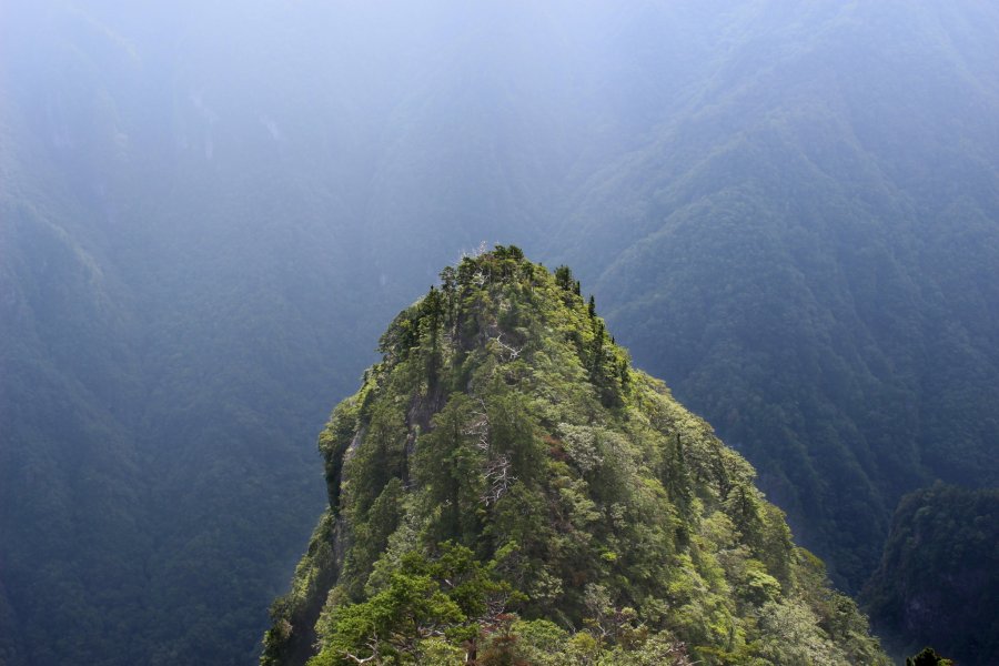 The Odaigahara