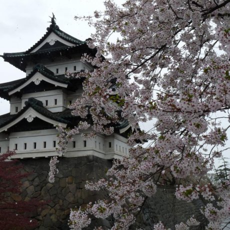 Hirosaki Castle Hirosaki Castle