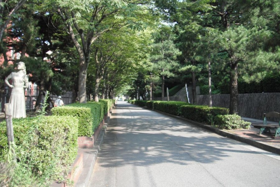 Avenue to the Art Museum, Kure