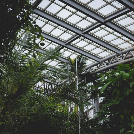 Kyoto Botanical Garden Conservatory Kyoto Botanical Garden Conservatory