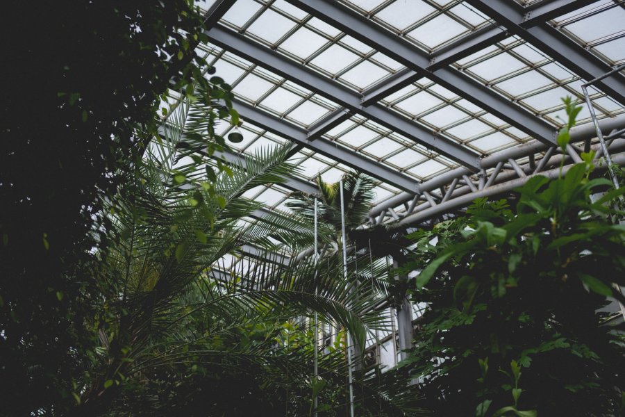 Kyoto Botanical Garden Conservatory