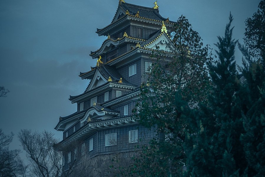 Exploring Okayama Castle