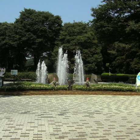 Shinrin Park in Saitama Shinrin Park in Saitama
