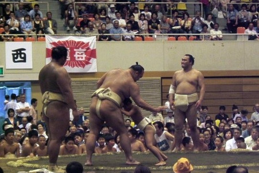 Sumo Roadshows in Nagano