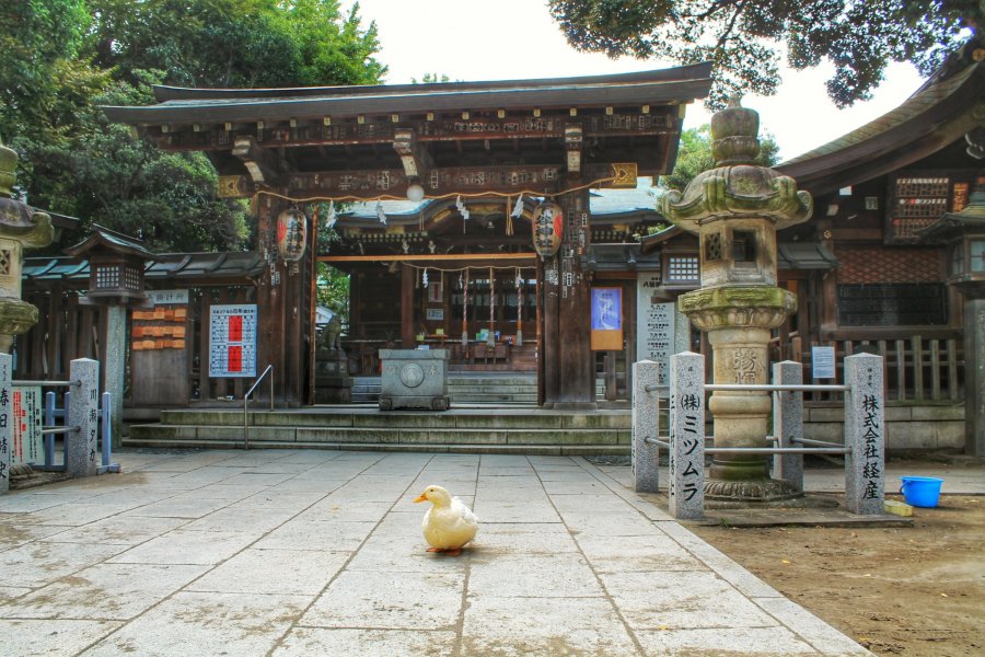 Shitaya Jinja