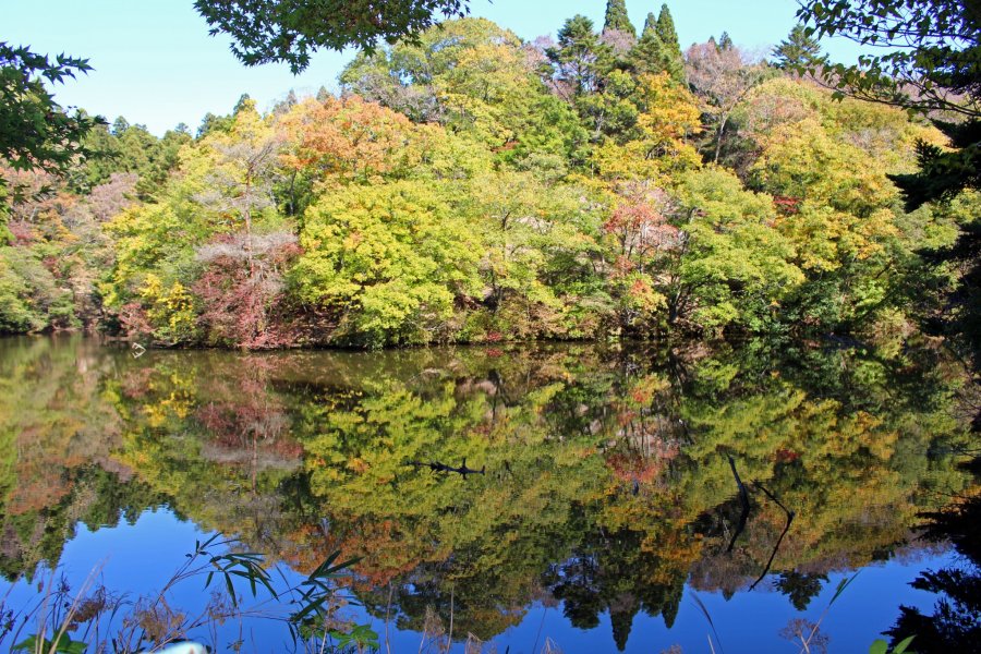 Hiking the Yagyu Kaido