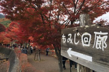 Maples Corridor at Kawaguchi-ko