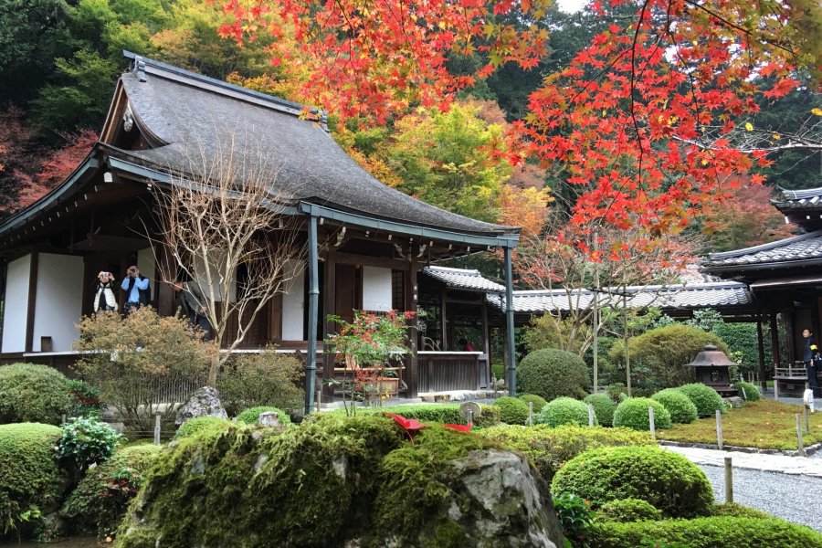 Jakko-in Temple in Kyoto