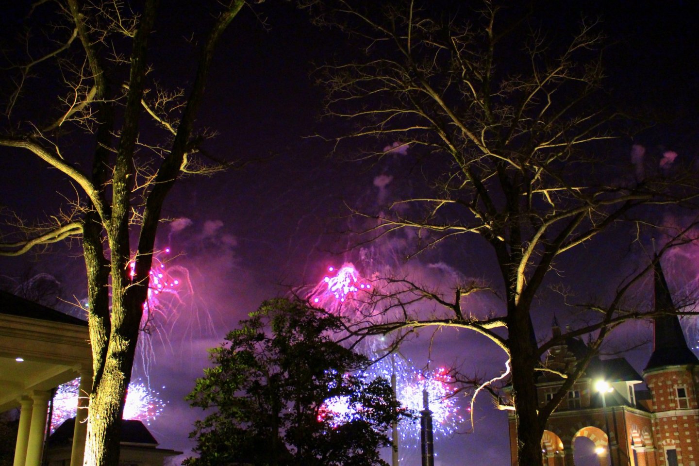 Huis Ten Bosch New Year's Countdown