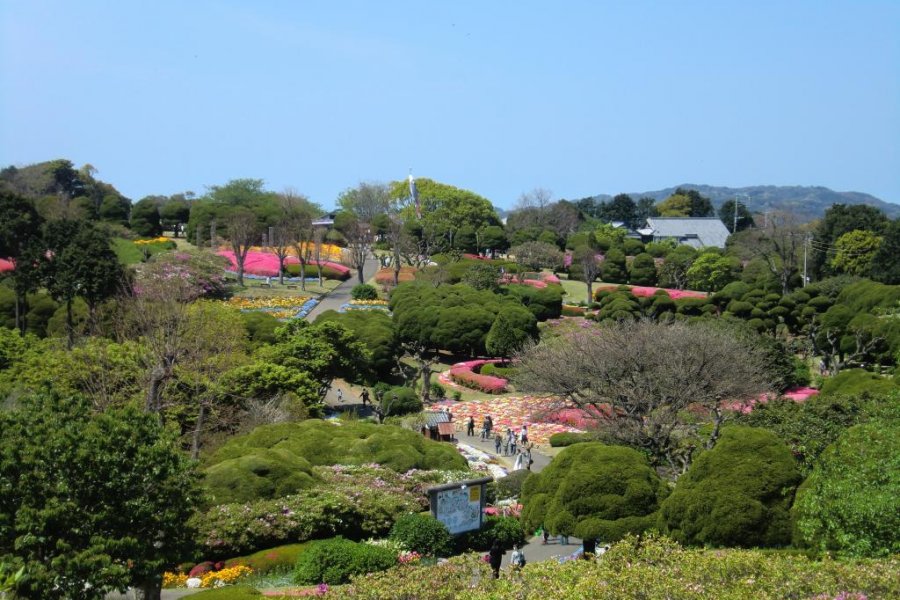 Noko Island Park