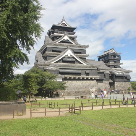 Summer in Kumamoto Castle Summer in Kumamoto Castle