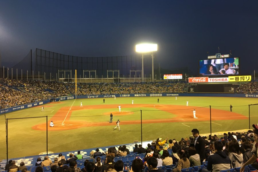 Baseball at Meiji Jingu Stadium