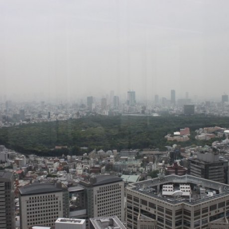 Discovering Meiji Shrine Discovering Meiji Shrine