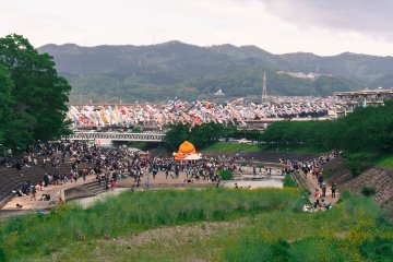 Koinobori Festa 1000
