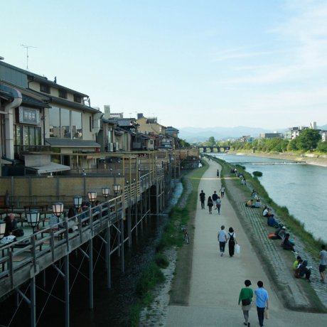 A Walk Along Kamo River A Walk Along Kamo River