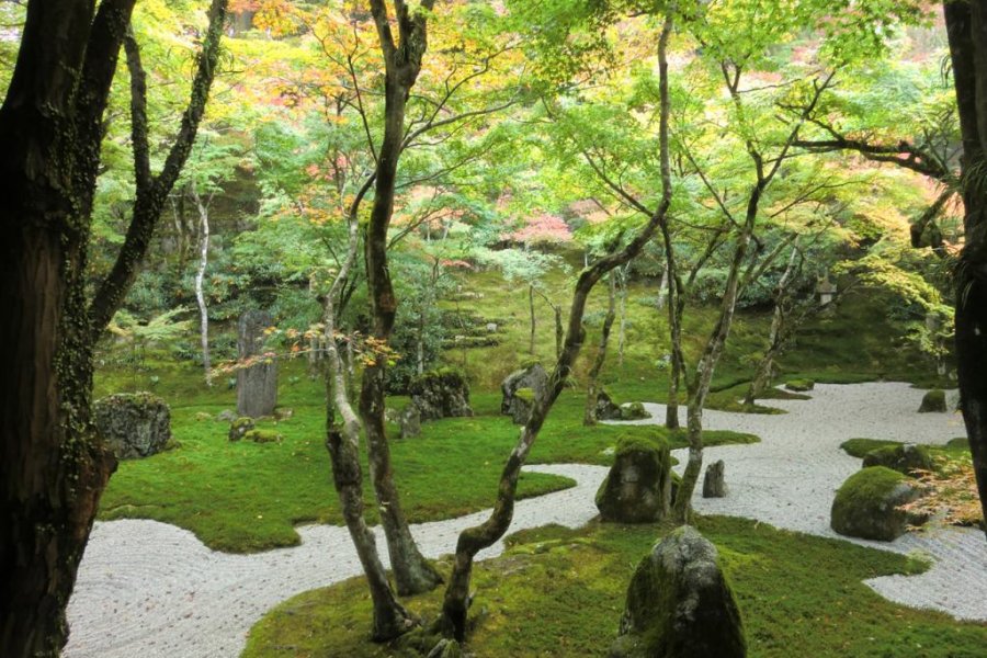 The Beauty of Fukuoka's Moss Temple