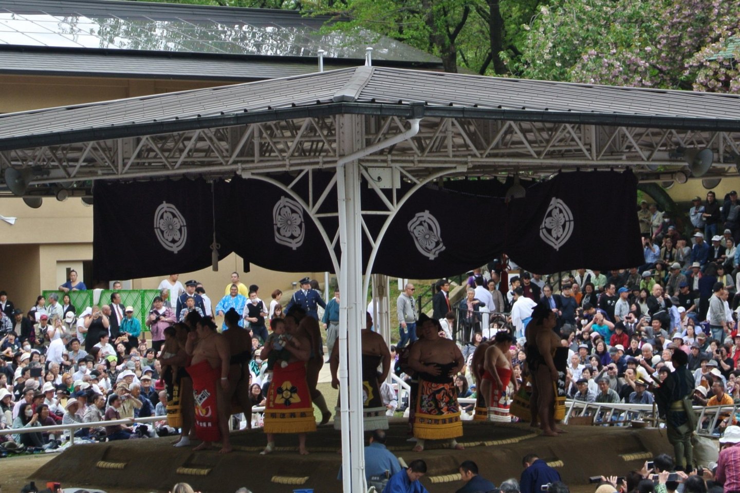 Sumo at Yasukuni Shrine