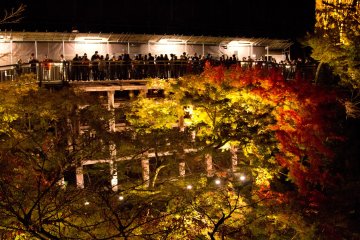 Kiyomizu-dera Autumn Illumination