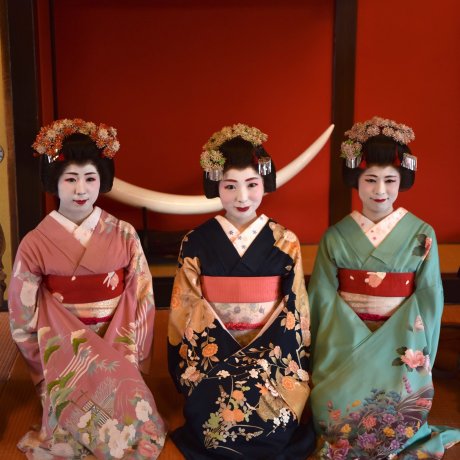 The Maiko of Somaro Teahouse The Maiko of Somaro Teahouse