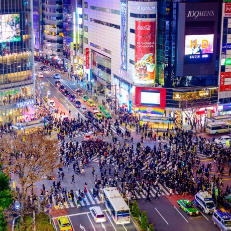 Shibuya Crossing Shibuya Crossing