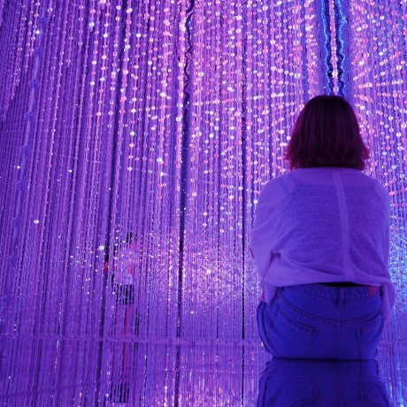 DMM Planets X TeamLab in Odaiba (2016) DMM Planets X TeamLab in Odaiba (2016)
