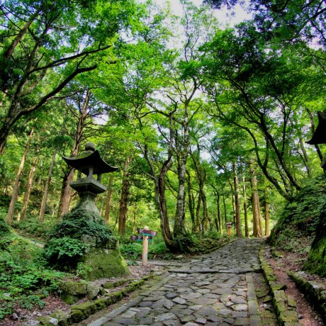 Discover San'in - Shimane &amp; Tottori - 