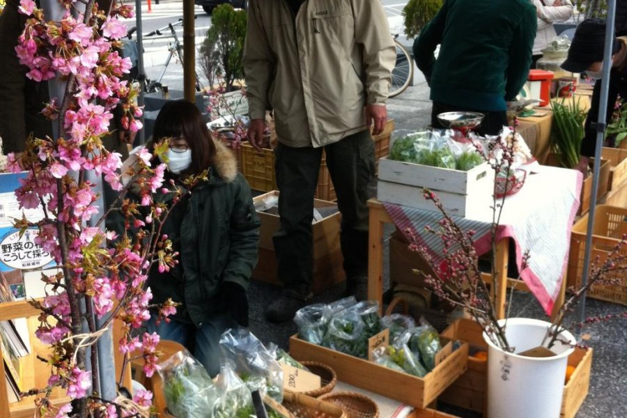 Nara's Organic Farmers Market
