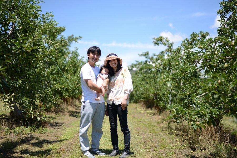 Apple Picking in Matsumoto