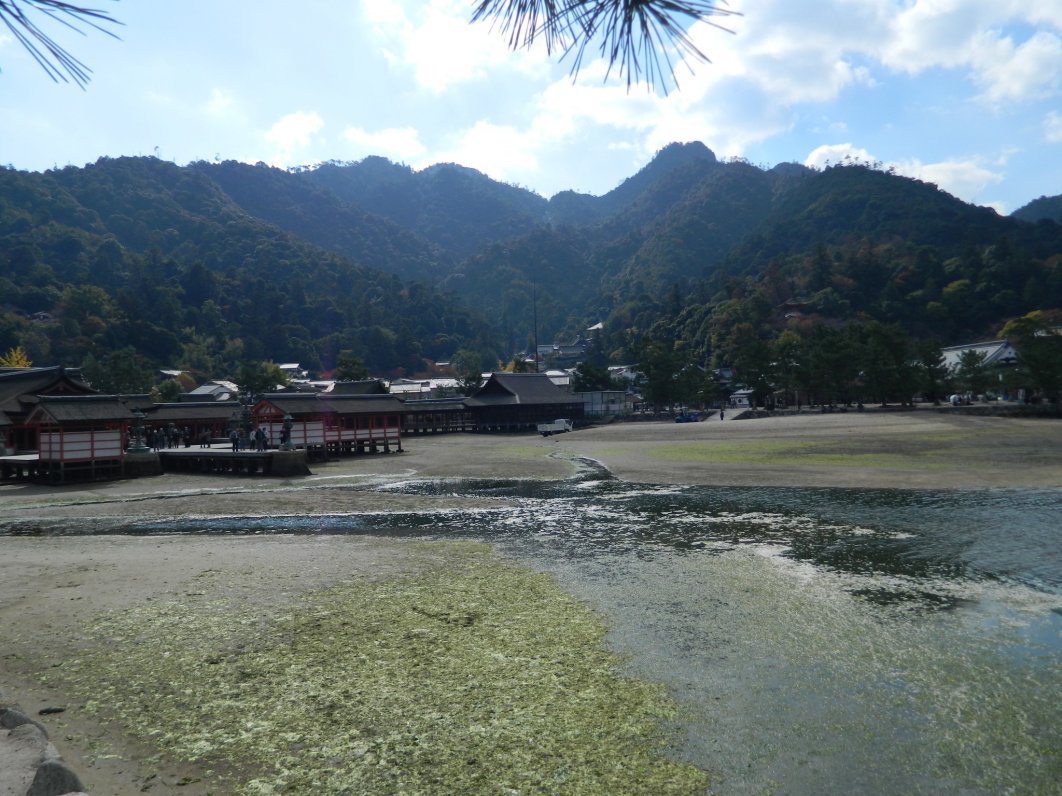 Kukai built a temple on Mt. Misen
