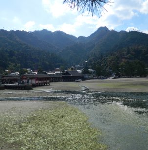 Kukai built a temple on Mt. Misen