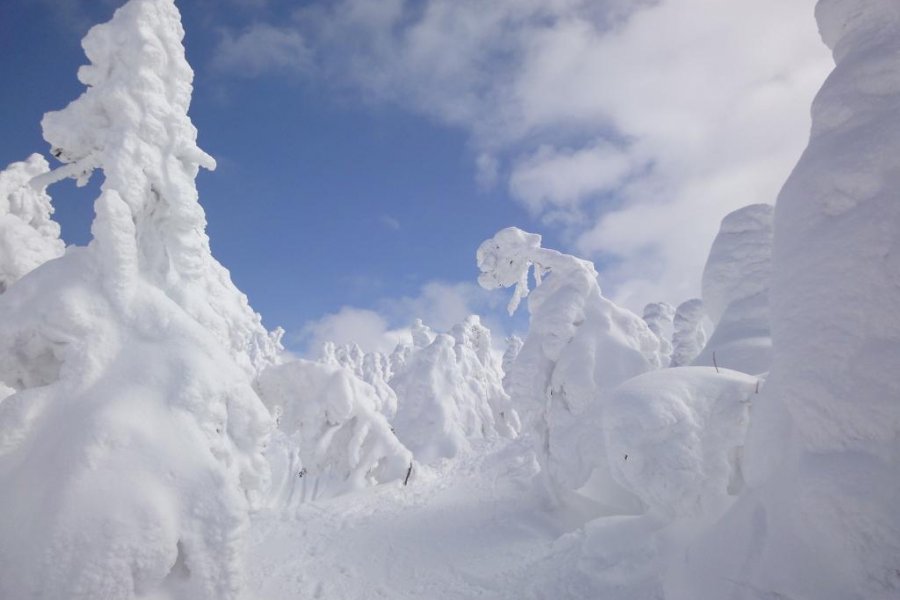 Zao Onsen - Realm of the Juhyo