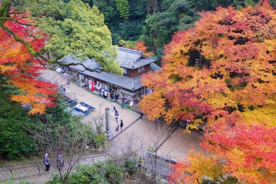 Mt. Shosha Autumn Leaf Festival