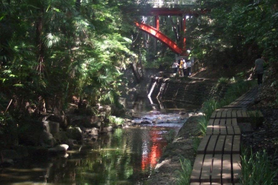 Take A Calming Valley Walk in Tokyo