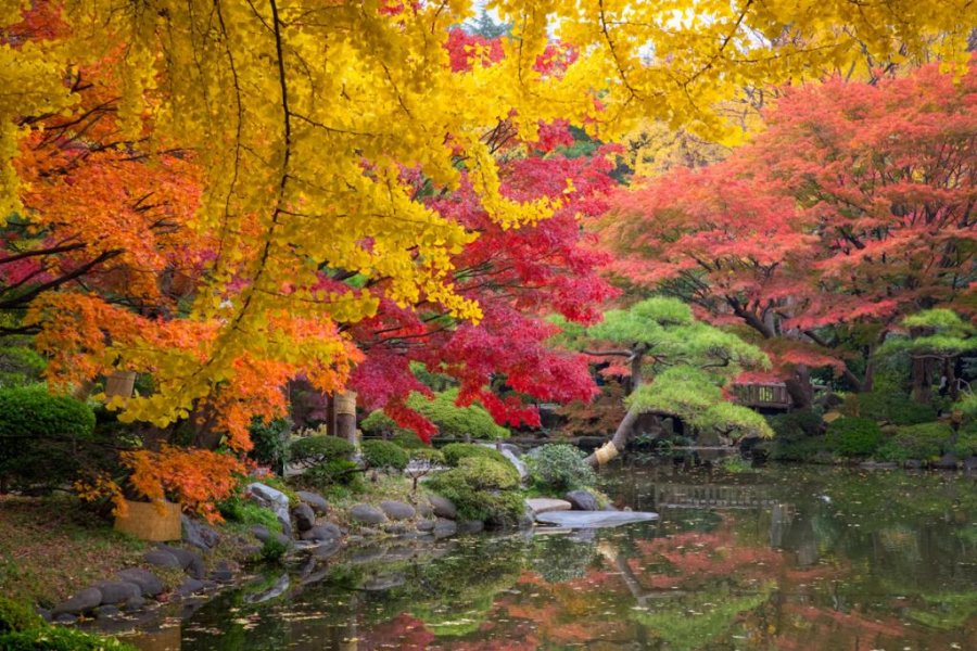 Hibiya Park in Autumn