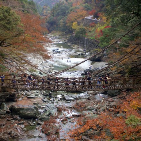 Kazurabashi - Rope Bridge of Iya Kazurabashi - Rope Bridge of Iya