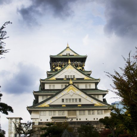 Osaka Castle Gardens Osaka Castle Gardens