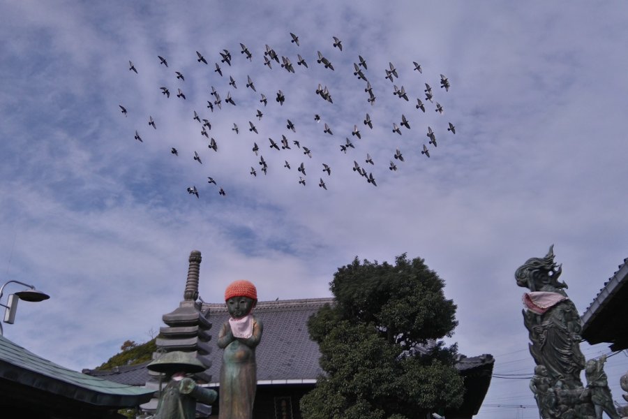 Shikoku Pilgrimage's Mairi Path
