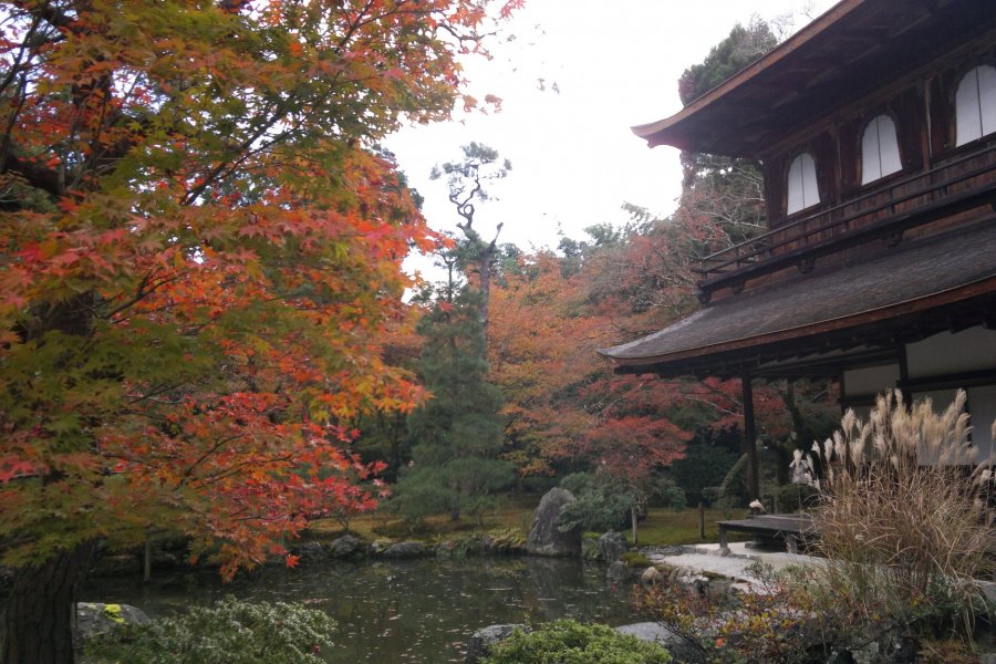 Ginkaku-ji in Autumn