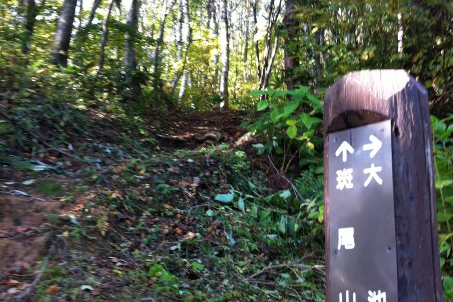 Shinetsu Trail, Part 1