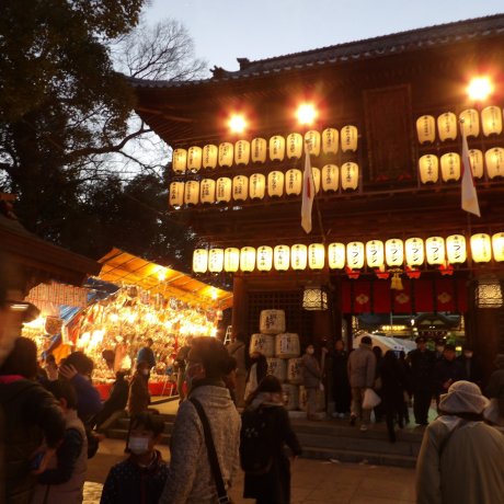 Tsubaki Matsuri Tsubaki Matsuri