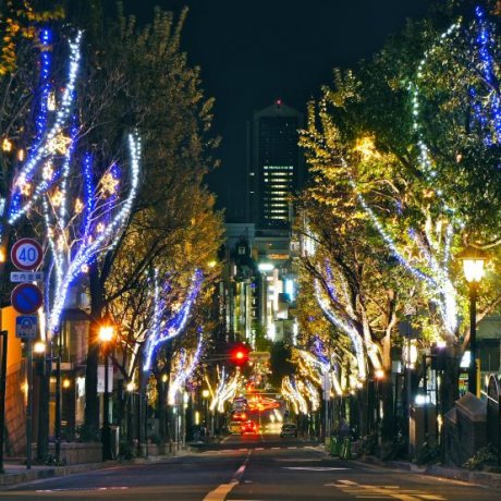 Kobe Kitano Christmas Street Kobe Kitano Christmas Street