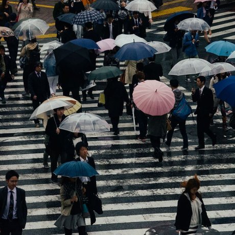 24 Hours in Shibuya and Harajuku 24 Hours in Shibuya and Harajuku