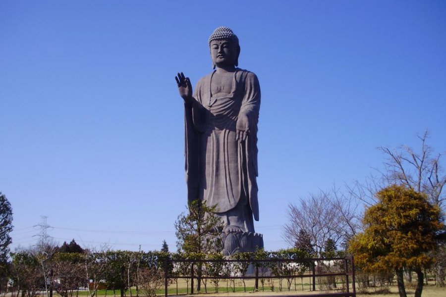 Visiting the Ushiku Daibutsu (Great Buddha)