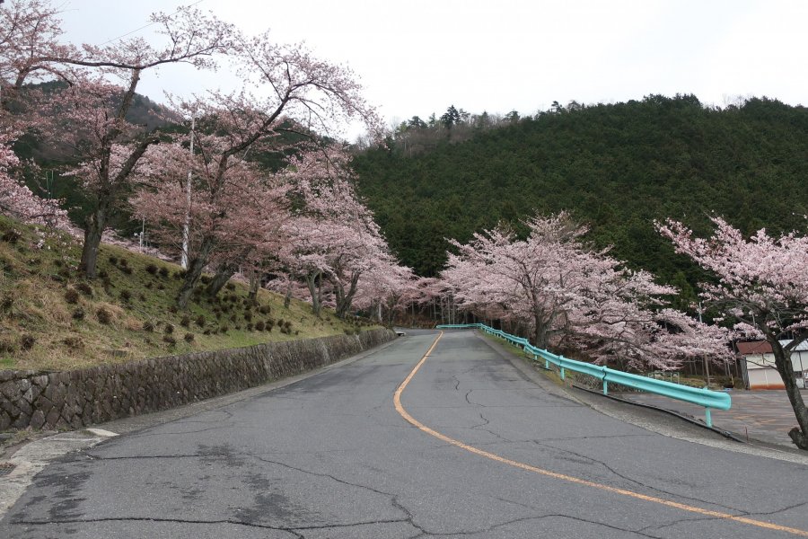 Biwako Valley