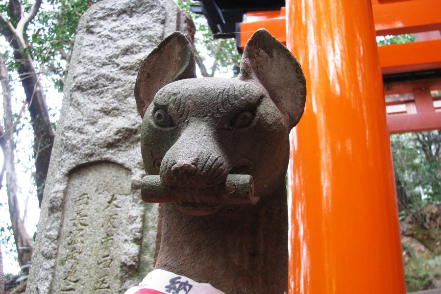 The Top of Fushimi Inari Taisha