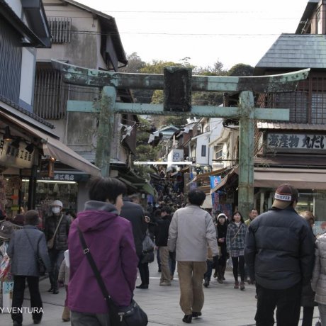 Enoshima: A Day in the Life of an Island Enoshima: A Day in the Life of an Island