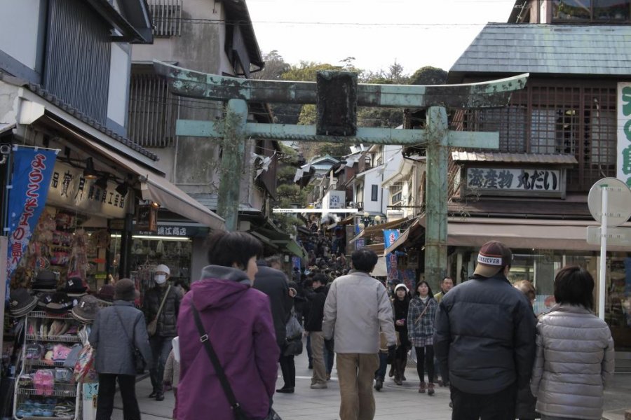 Enoshima: A Day in the Life of an Island