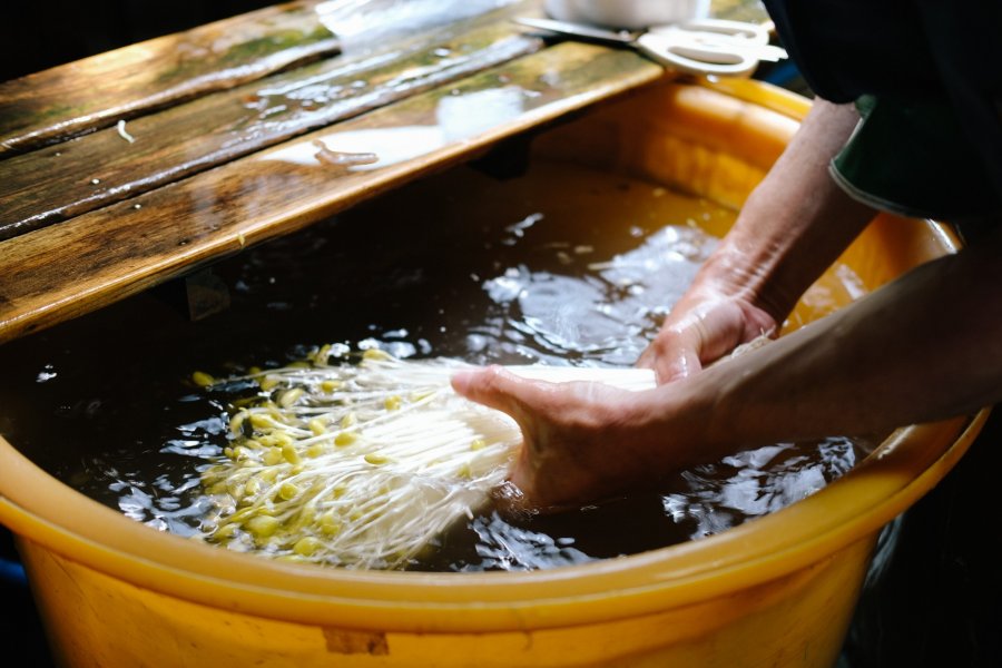 Tasting Tsugaru