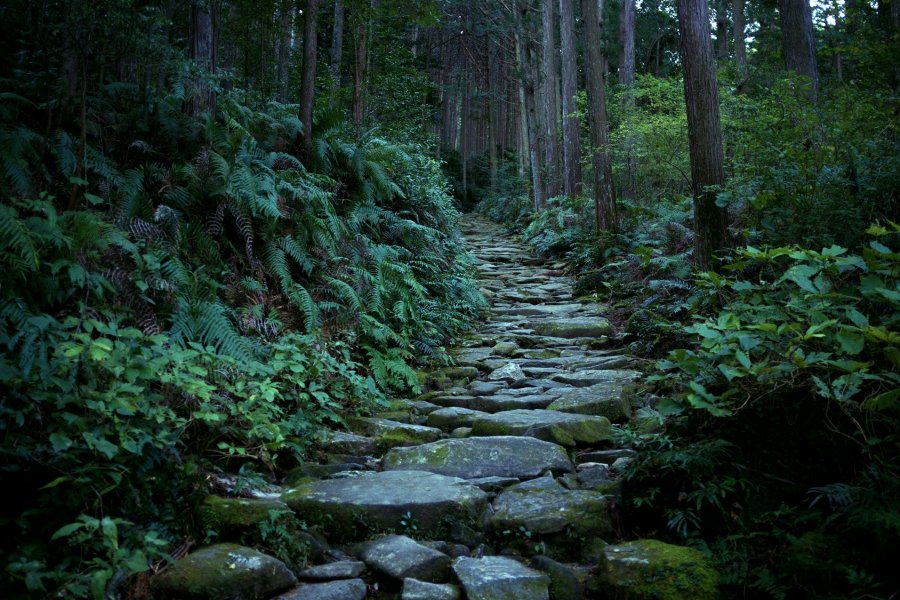 Kumano Kodo Iseji: Binshiyama and the Magose-Toge Pass