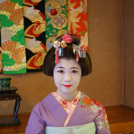 The Akita Maiko The Akita Maiko